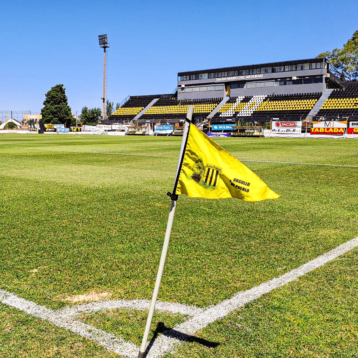 Primera Nacional tweet media