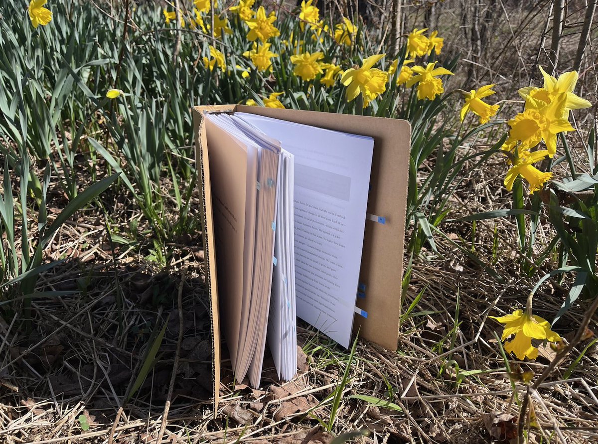 This #EarthDay2024 I'd like to introduce you a friend of mine. World, please meet 'Multisolving: Creating Systems Change in a Fractured World' which will look more like a book & less like a binder in a patch of daffodils when it's released by @IslandPress in fall 2024!