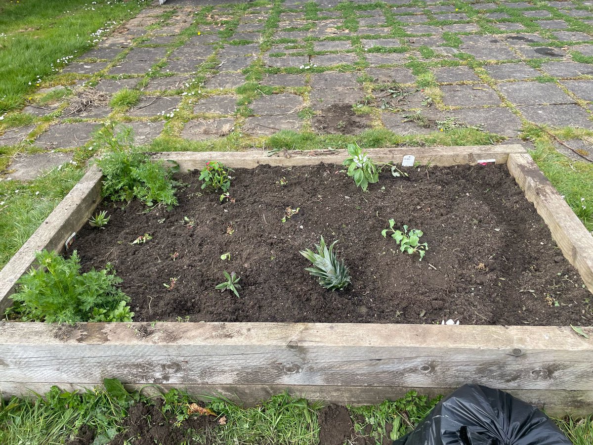 For #EarthDay2024 BGE 3 learned about Jadav Payeng:The Boy Who Grew A Forest. Then we went outdoors and started planting onions, cabbage, tomatoes, strawberries and lettuce. #LfSScotland #OnePlanetLiving🌎 #GrowYourOwn #RRSA #climatereadyclassroom