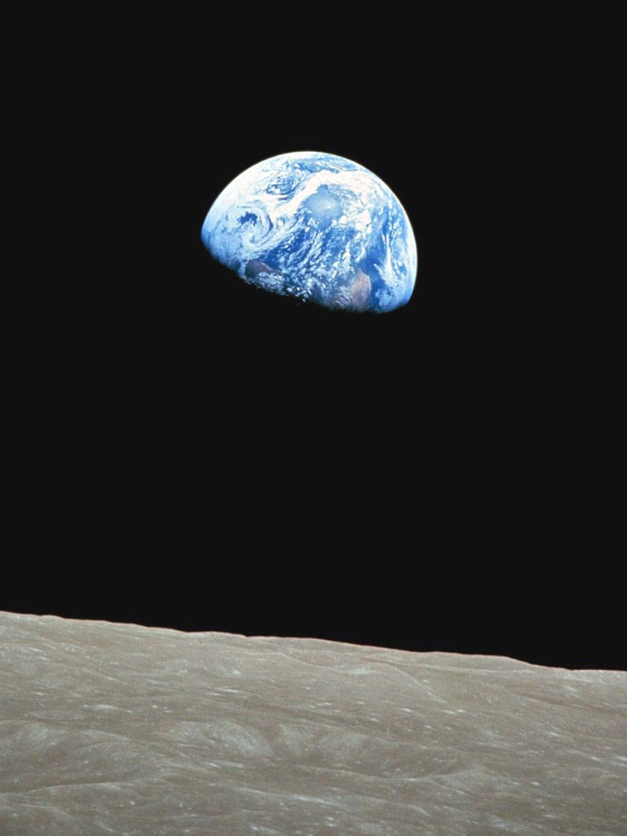 Today the world celebrates Earth Day 2024, but it is also essential that we extend this level of proactive commitment to every other day of the year, considering the magnitude of the environmental challenges currently facing humanity and our biosphere.