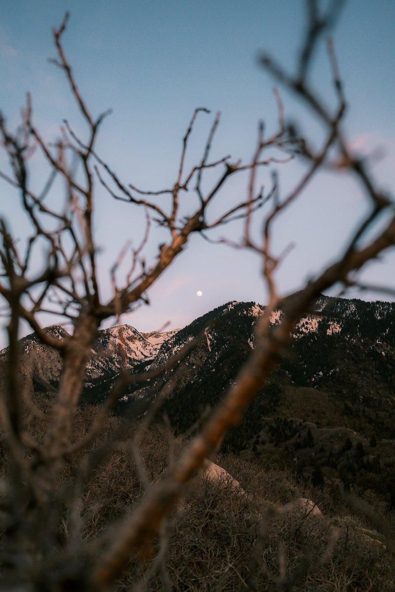 RebornYeti's tweet photo. First outing with the newest addition to the arsenal, @FujifilmX_US X100VI - The last 3 photos are some jpgs taken straight from camera with a custom film recipe. Can’t wait to take this thing on more adventures! https://t.co/C4OwEiDHee