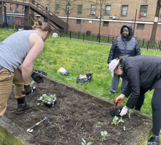 Charlesdfall's tweet photo. Happy #EarthDay! 

#TeamFall took part in the spirit at Stapleton Houses, where native plant &amp; local produce gardens will thrive thanks to our @NYCHA Resident Climate Action Grant Program. Special shoutout to @healthforyouths @ConEdison for their leadership! #District61 https://t.co/2NjB5BDTRc
