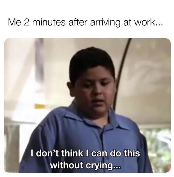 relichdyn's tweet image. 🐻