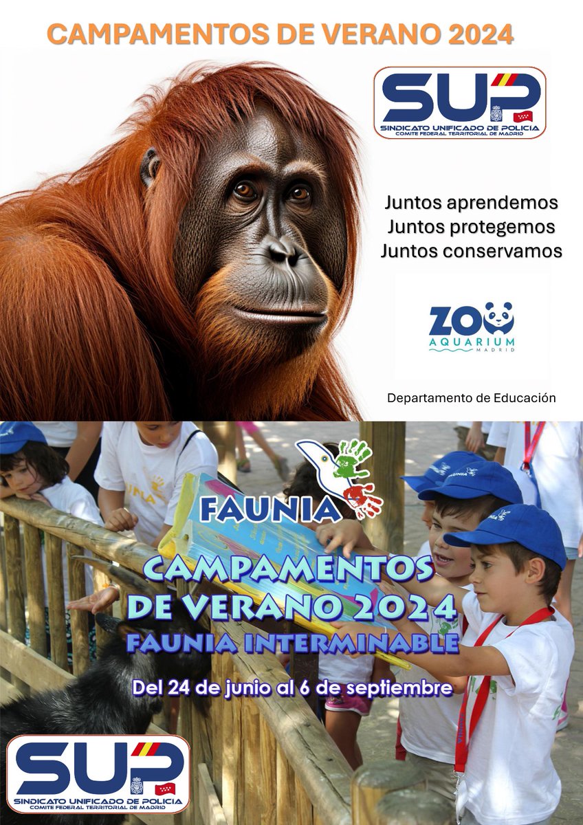 🔄Vuelven los #CampamentosDeVerano 
del 🦣@zoomadrid y🐬@parquefaunia 
📢Precio especial para filiad@s, identifícate❗️
➡️Infórmate en los teléfonos ☎️911547479 (Opción 3) y☎️91.154.74.82
🤝Afíliate📷 altas.sup.es 
#SupLíderEnServicios ⤵️