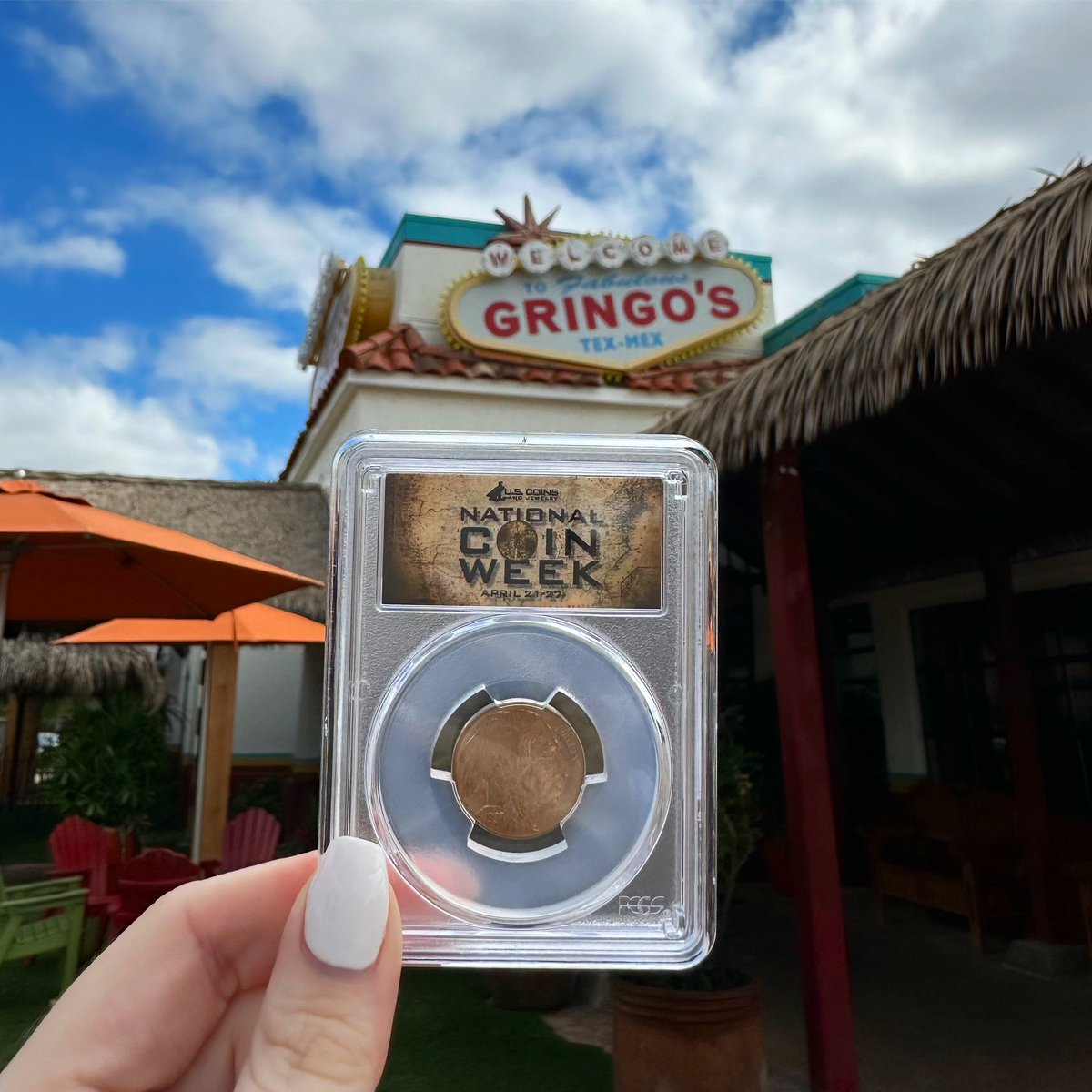 USCJHouston's tweet image. TREASURE HUNT LOCATION 1: GRINGO’S CYPRESS
@gringostexmex by @russellybarra 🔥 
The first 5 customers to use the code word NUMISMATICS with any purchase will get 1 of 5 uncirculated certified Buffalo Nickels!

#nationalcoinweek #coincollecting #houston