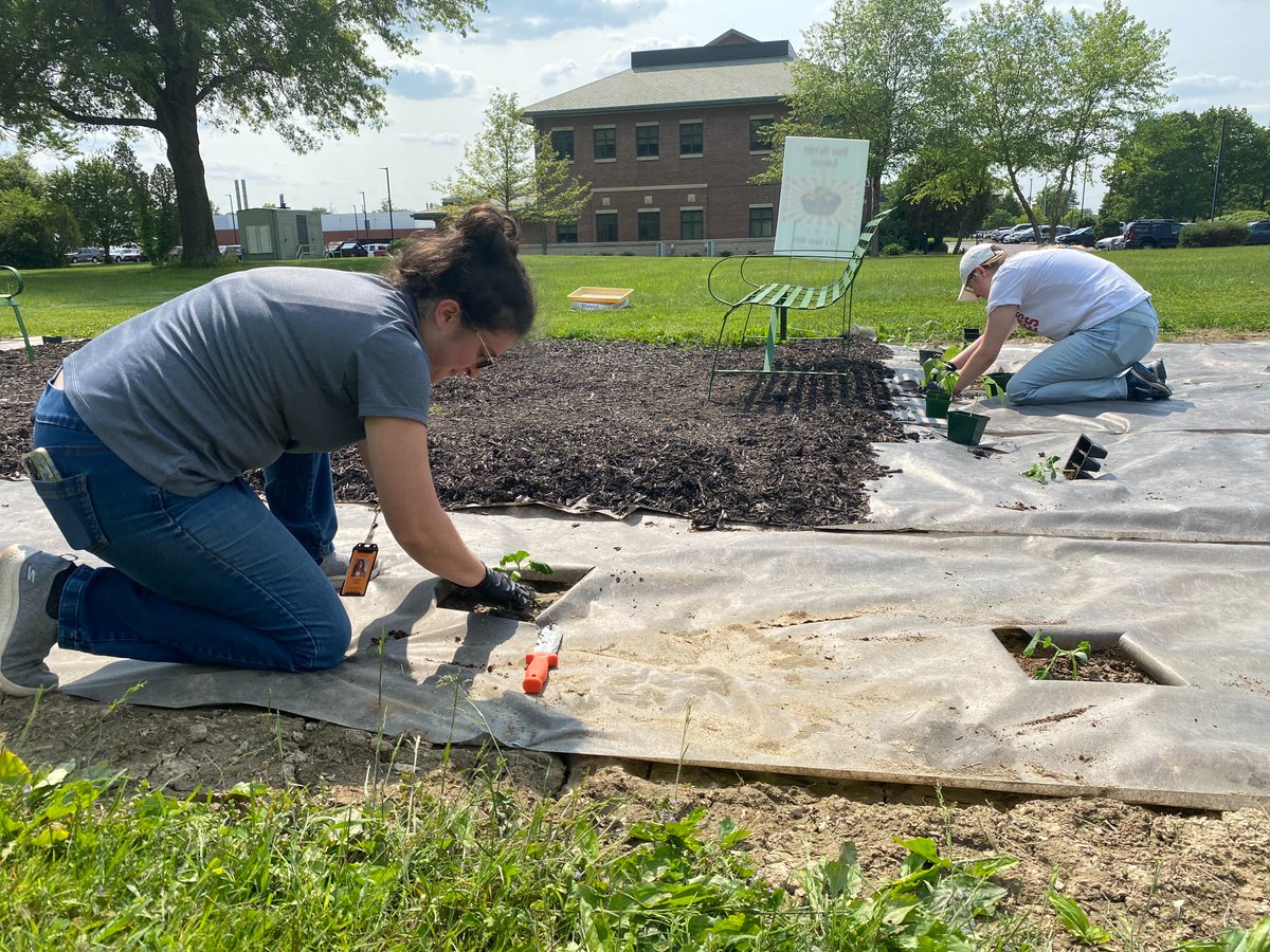 Planting power! #ArborDay highlights the importance of not just planting trees and plants, but native ones. Our Victory Garden seeds come from #Ohio. Many participating counties still have free kits available to jump start your garden. u.osu.edu/ohiovictorygar…