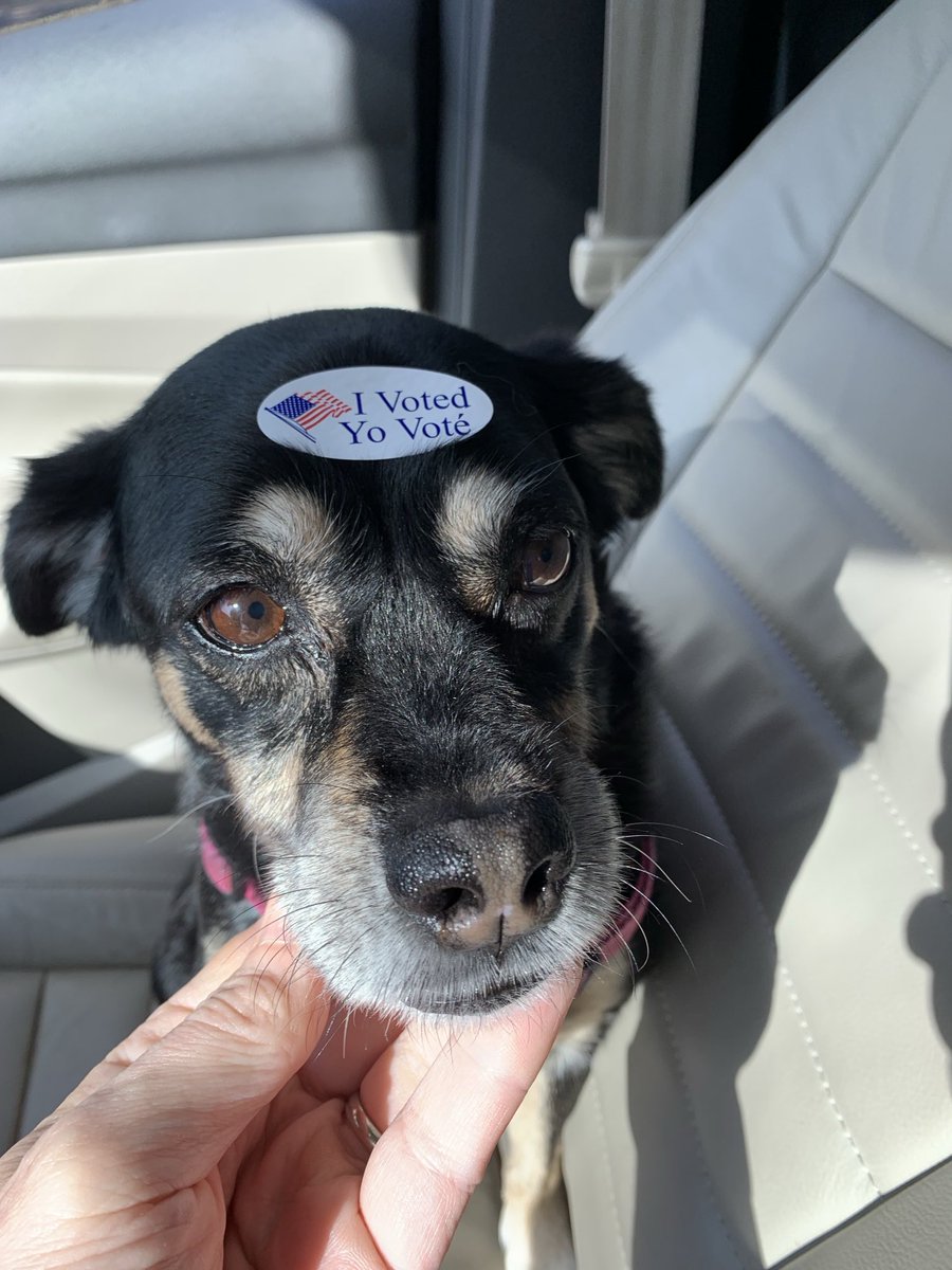 I voted but Hannah got the sticker. First day of early voting in this special election. #Austin