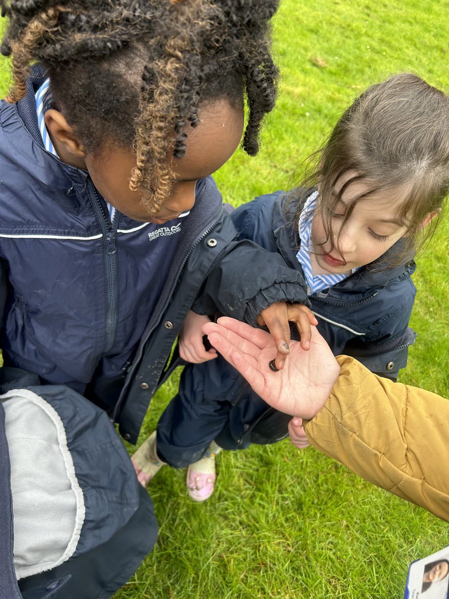 In search of 🐸 spawn … we found water beetles, water snails and nymphs in the school pond @ackworthschool #EYFS #outdoorlearning #forestschool