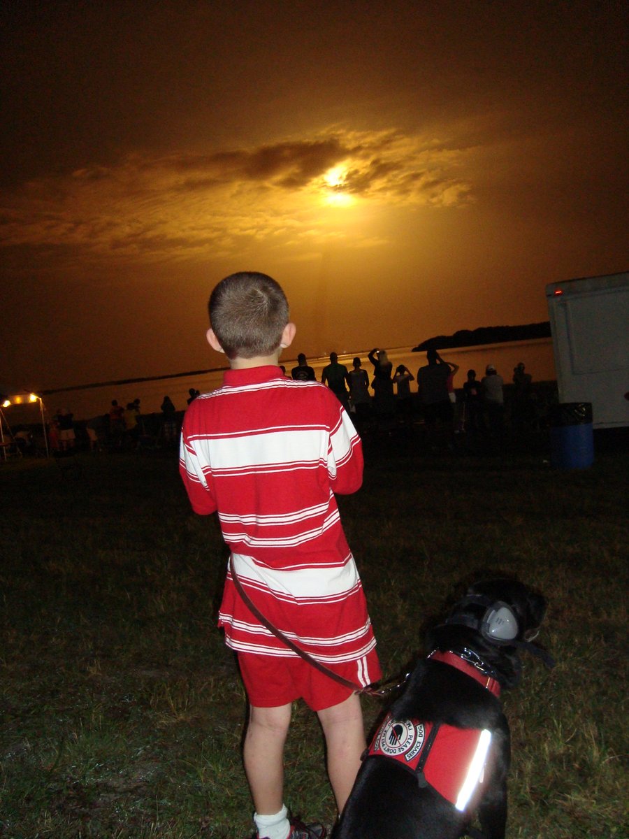 🚀 #MagicalMemoriesMonday My predecessor, Remy, w/Big Brother. August 2009 #ShuttleLaunchSTS-128, Causeway, #KennedySpaceCenter, #NASA. She saw a good number of launches, but never w/o ear protection.
#dogsoftwitter #dog #foodallergies