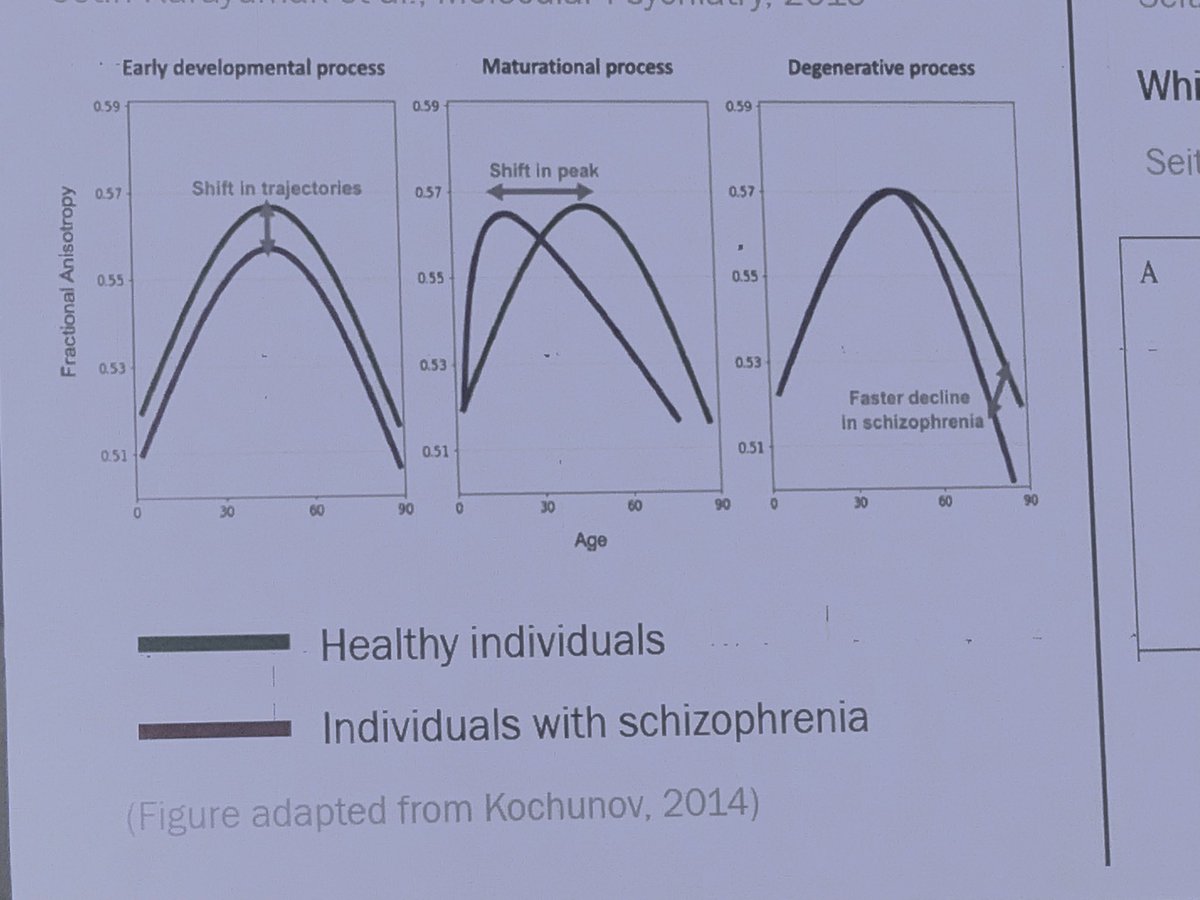 To associate brain aging with blood markers, Johanna Seitz-Holland (Harvard) argues for the use of a 22-protein “SASP” index based on senescence associated proteins, whose expression is also increased in depression mediated almost entirely by poor physical health #icp2024…