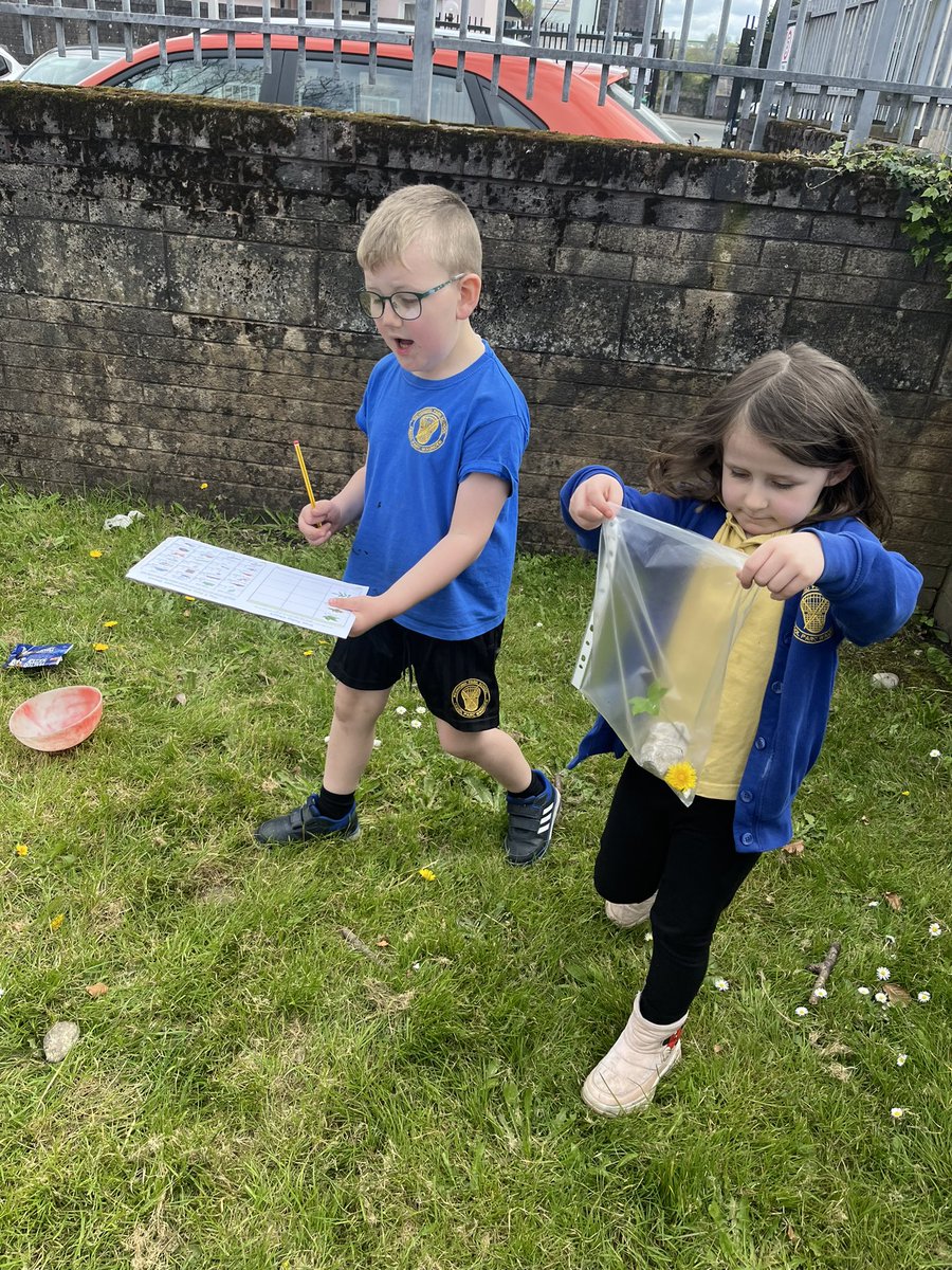 #DosbarthGwern has been learning about #WorldEarthDay2024 today. We have been on an outdoor scavenger hunt to collect and compare items found outside.