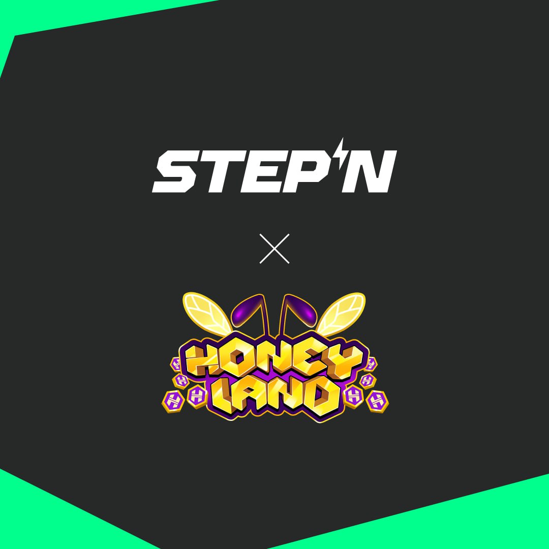 Honeyland 🐝 tweet media