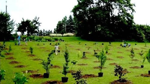 This Earth Day🌎, join Root Rescue and your municipality by planting trees, helping a tree planting cause, and using organic, natural Root Rescue Transplanter. Learn more in our #EarthDay blog. <a href="/EarthDayCanada/">Earth Day Canada</a> #EarthDay2024 #trees  rootrescue.com/blogs/news/ear…