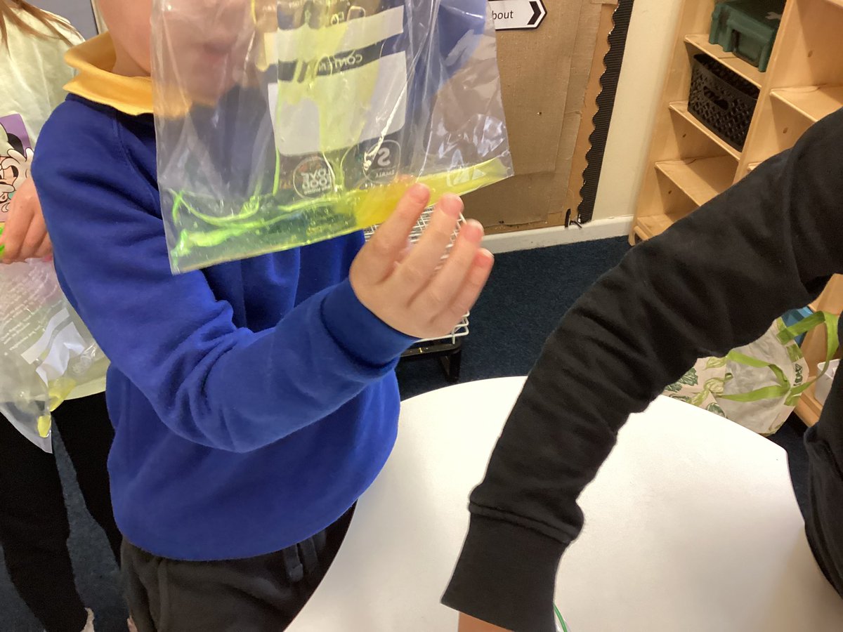 highstreetps's tweet photo. #hspsy2 have been making portals with translucent materials and creating tally charts https://t.co/ukm7rrcxHi