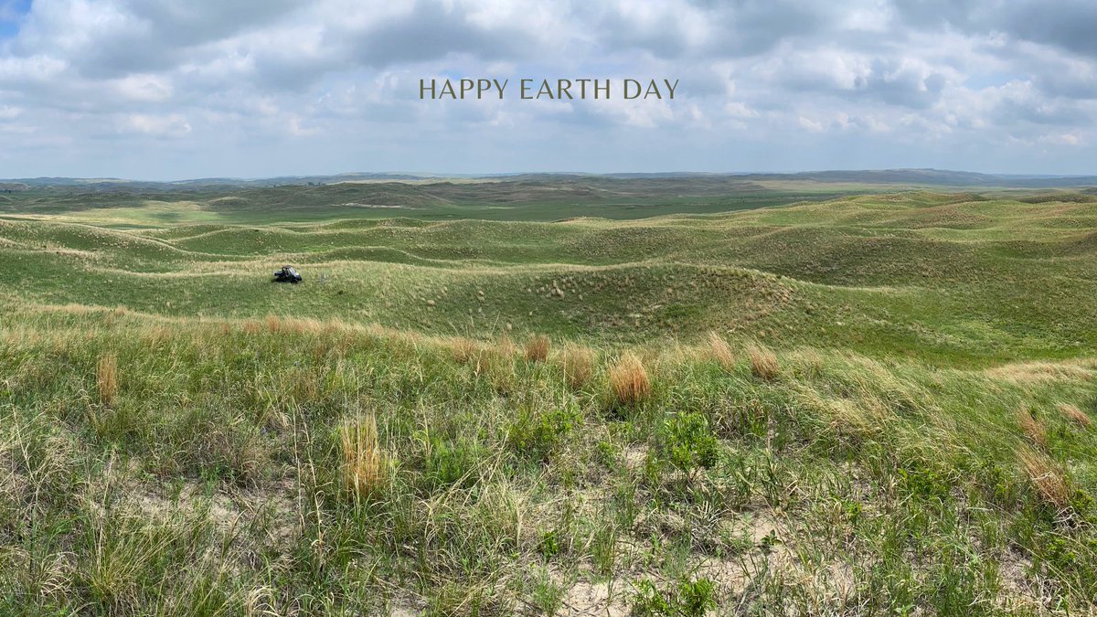 Applied Wildlife Ecology & Spatial Movement Lab tweet media