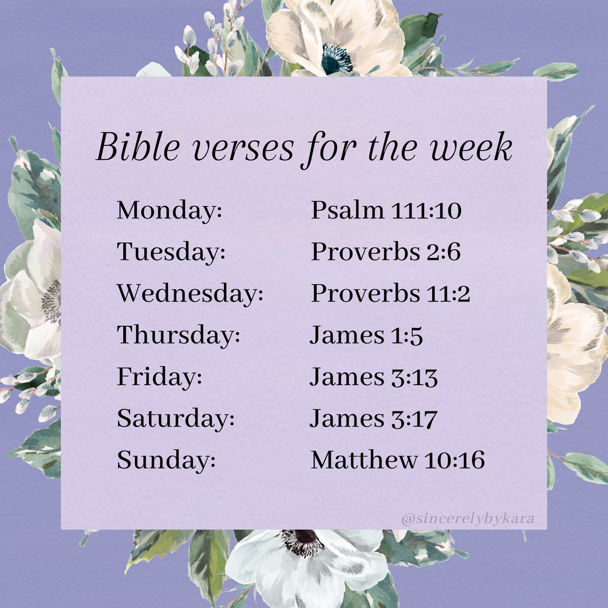 The verses for this week are on Biblical wisdom 🤍📖 #verseoftheday #bibleverses #wisdom #faith #psalms #proverbs