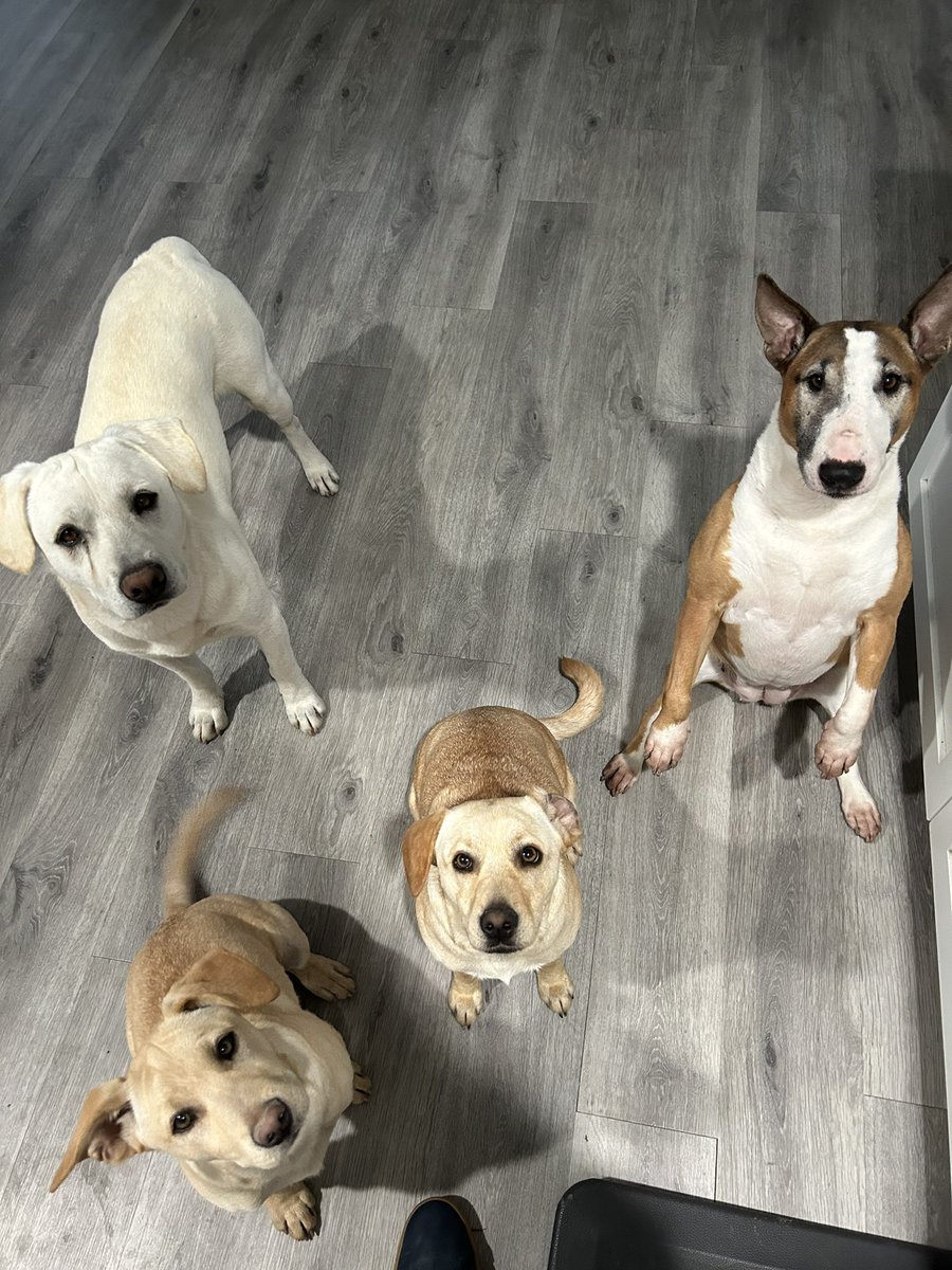 Tommy619🐸 tweet media