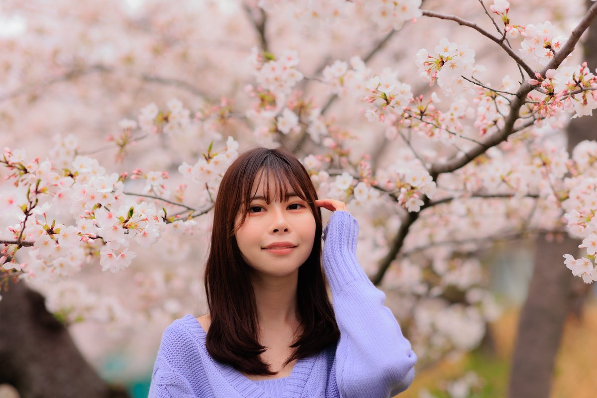🌸 桜のカーテンの下で 🌸 望夢さん(@mimu26_) 撮影地：豊明市の某所 #写真好きな人と繋がりたい #写真の奏でる私の世界 #ポートレート #キリトリセカイ #portrait #photo