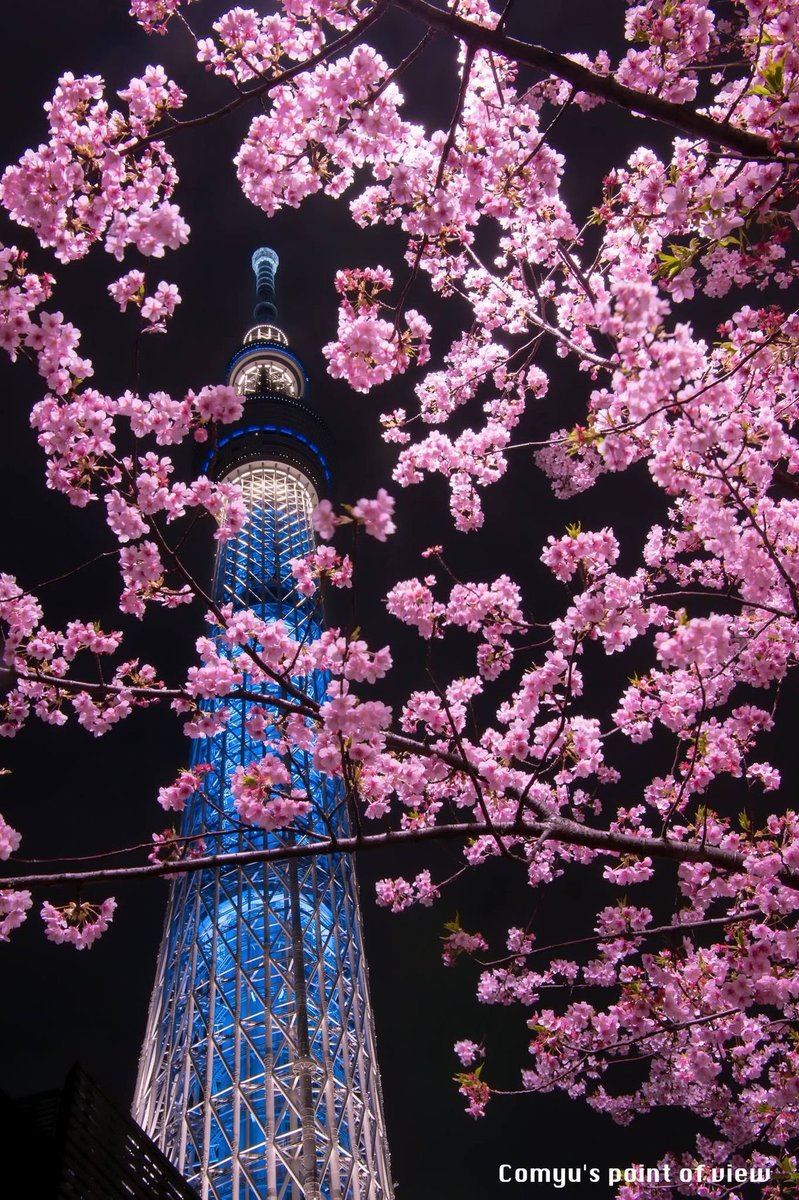 Tokyo Tower Japan