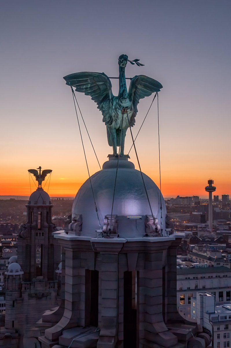 Liverpool sunrise❤️
#liverbirds #liverpool #sunrise #sunrisephotography #artwork #architecture #aerialphotography #dronehour 
@scousescene @RLB360 @stjohnsbeacon @VisitLiverpool @Beau_Liverpool