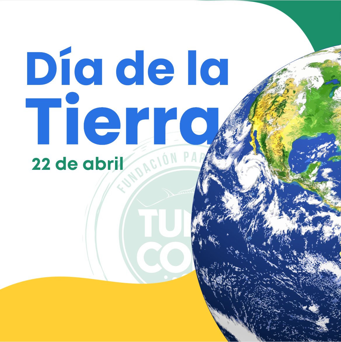 TUNACONSorg's tweet photo. En el #DíaDeLaTierra, reafirmamos nuestro compromiso #TUNACONS con la #conservación de los #atunes y su hogar marino. Cuidemos la #tierra para proteger los #mares 💙🌏🌊 https://t.co/bN6qcvzP7N
