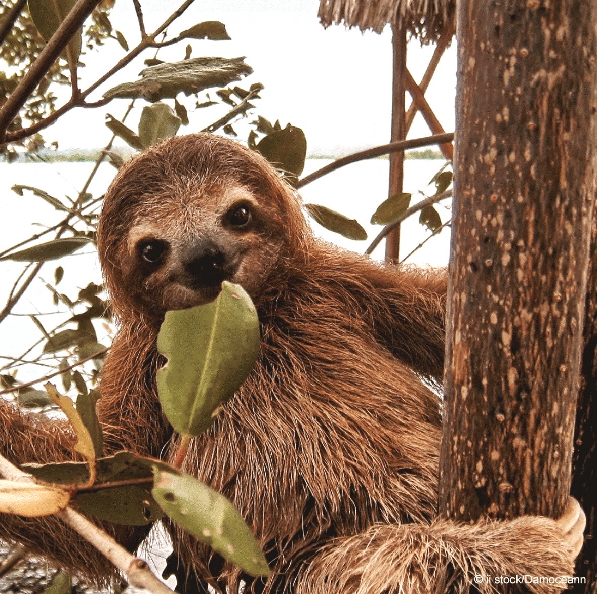 Not only are we celebrating #EarthDay today, but we’re also celebrating a new client win — with <a href="/WWFCymru/">WWF Cymru 🌏</a> stepping into the limelight 💚

Over the coming months, we’ll be busy overseeing WWF Cymru’s social media channels — from raising awareness of the effects of #climatechange