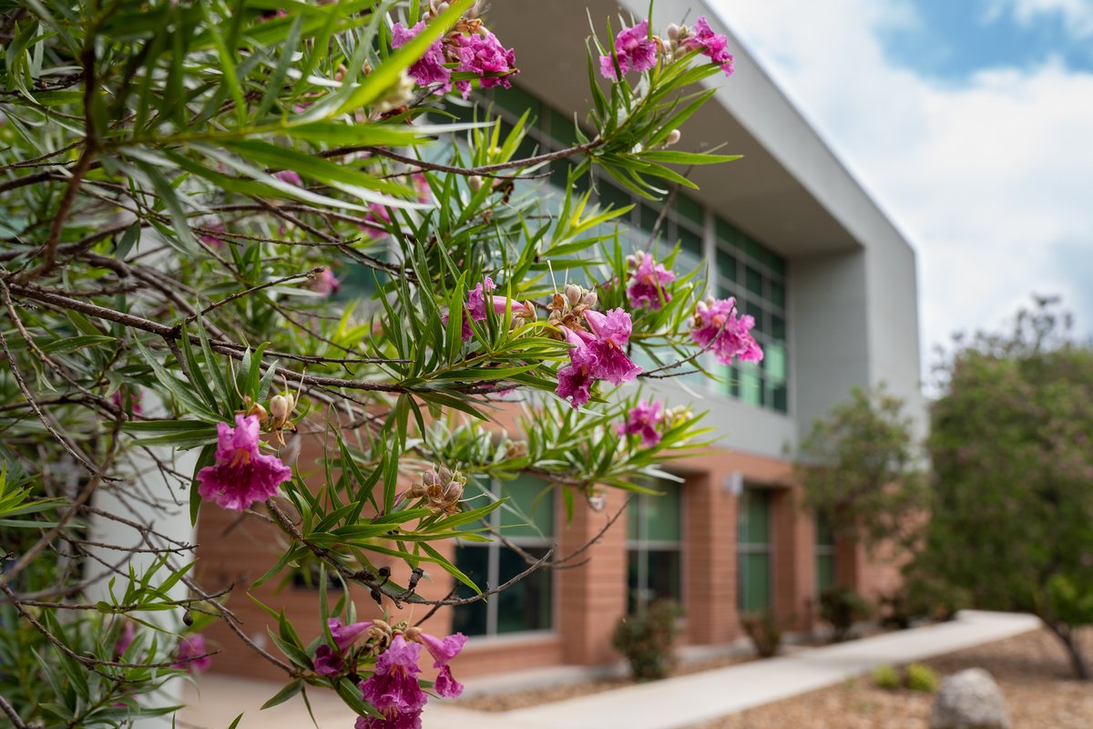 Happy #EarthDay, Tigers! Today, we celebrate our beautiful planet and all the green spaces that make our campus shine. Let's continue to cherish and protect our home for generations to come.