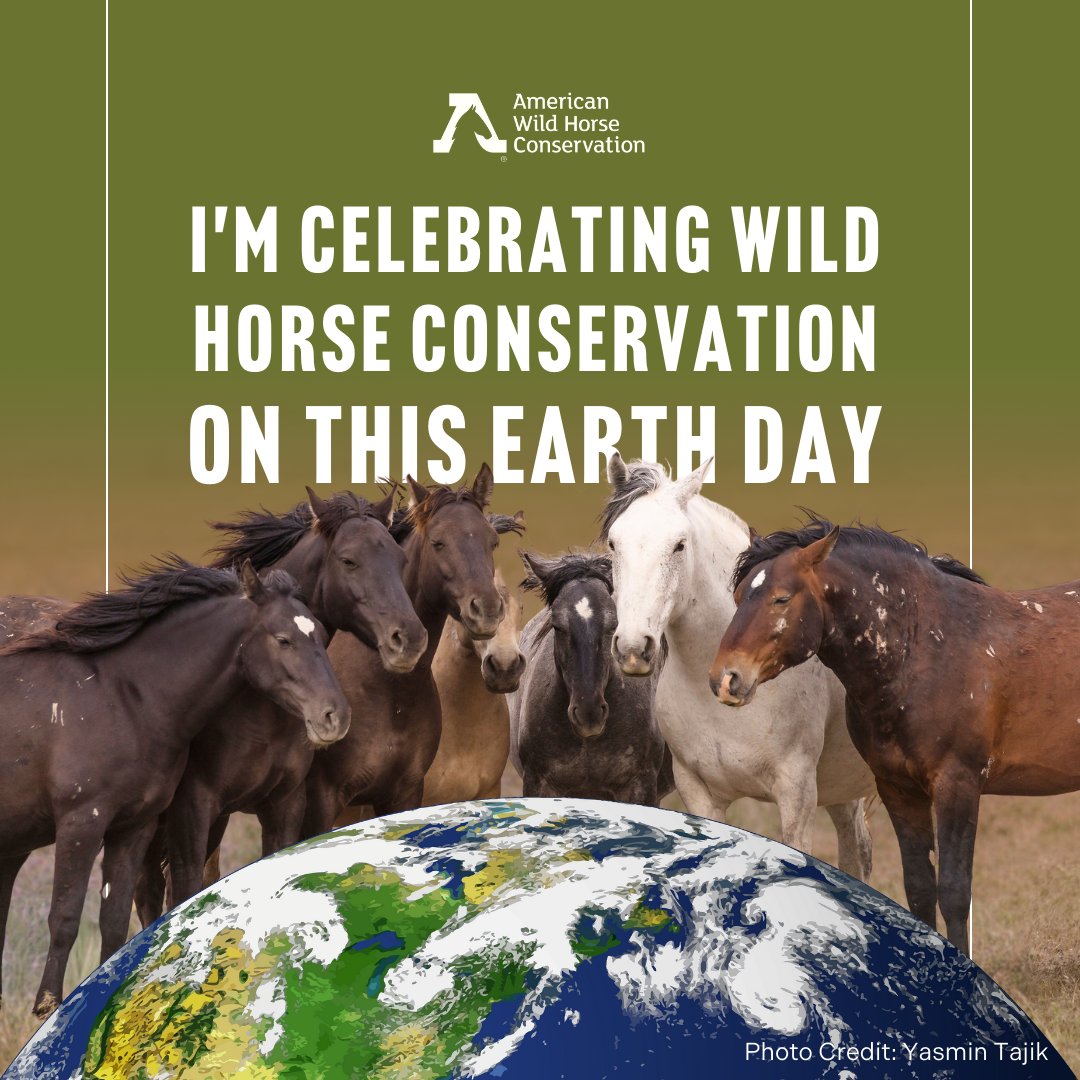 Share if you agree, with the hashtags #KeepWildHorsesWild #FreeWildHorses and #FreeWildBurros to show your support for wild horse and burro conservation this Earth Day! 🌎 Happy Earth Day from all of us at AWHC. May we treat everyday like Earth Day 🌱