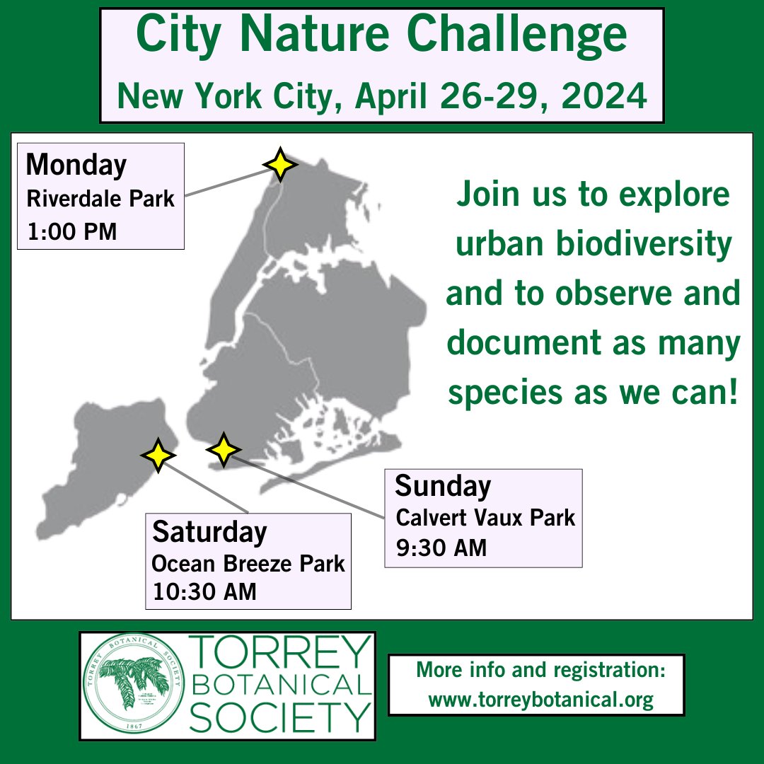 Get ready for the City Nature Challenge! We'll visit 3 boroughs in 3 days to observe and document the biodiversity of #NYC as part of the global #CNC bioblitz. We hope you'll join us! See our website for for registration details: torreybotanical.org/field-trips/ #botany #inaturalist