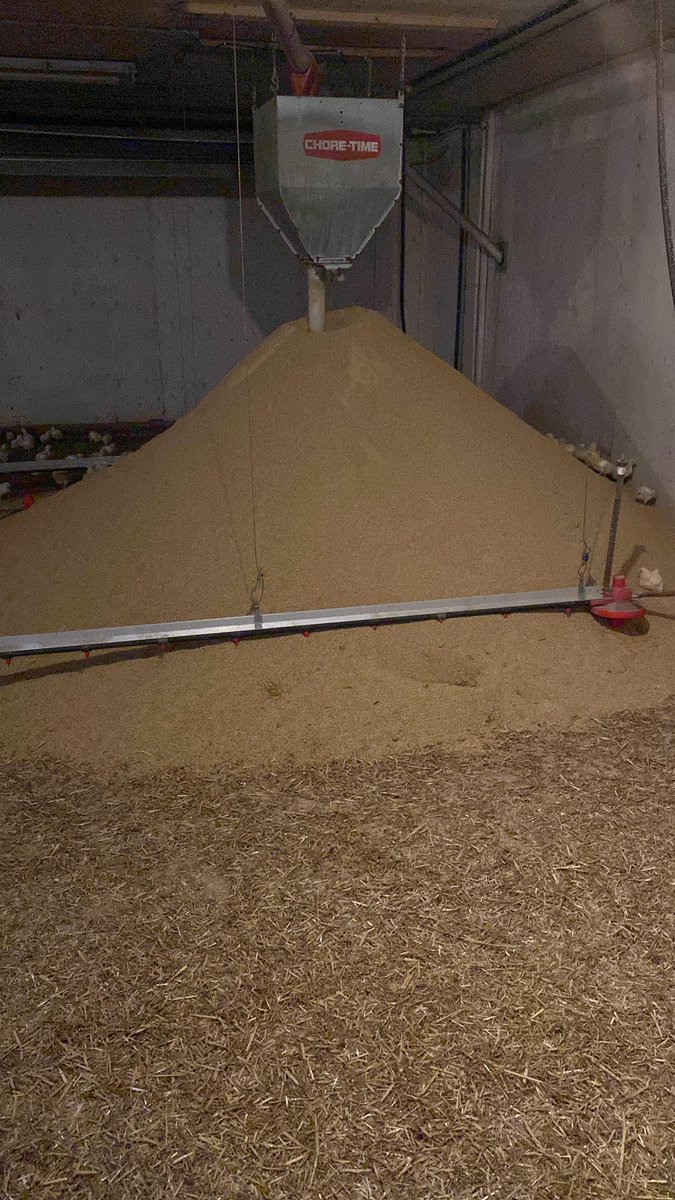 Braden Van Nynatten tweet media