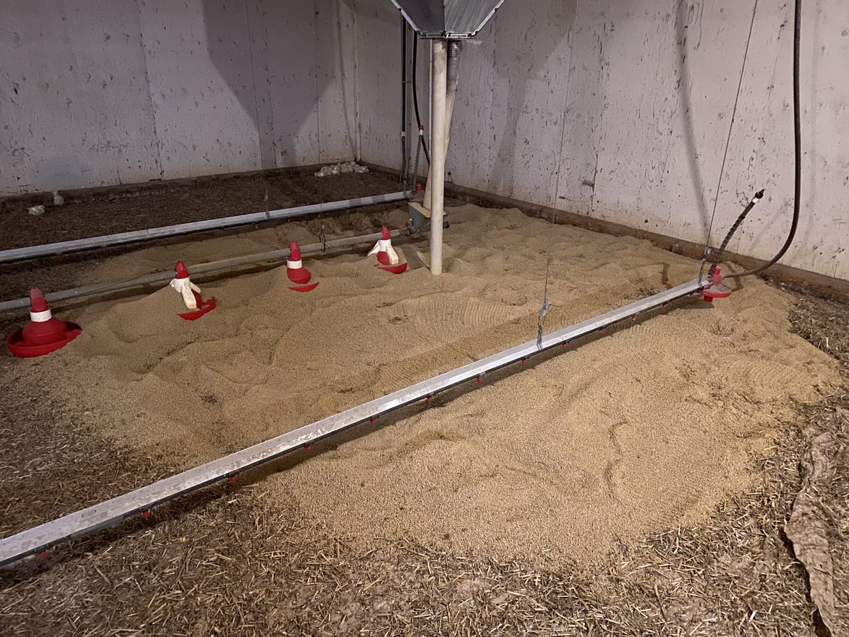 Braden Van Nynatten tweet media