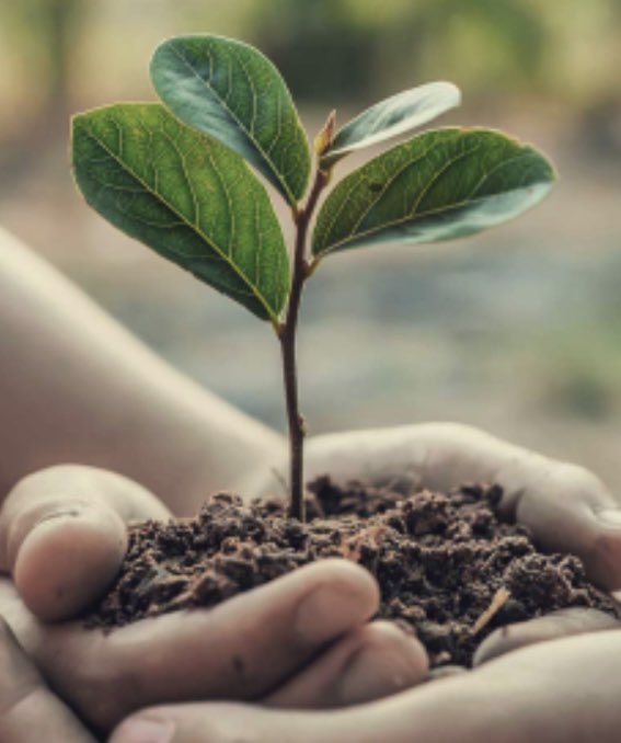 🪴To plant a tree, is to plant hope!🪴 In nature nothing exists alone. HAPPY EARTH DAY! 🌎 #hmpsBEST #KISDinspires #EarthDay #PlantATree #KMSCougarPride