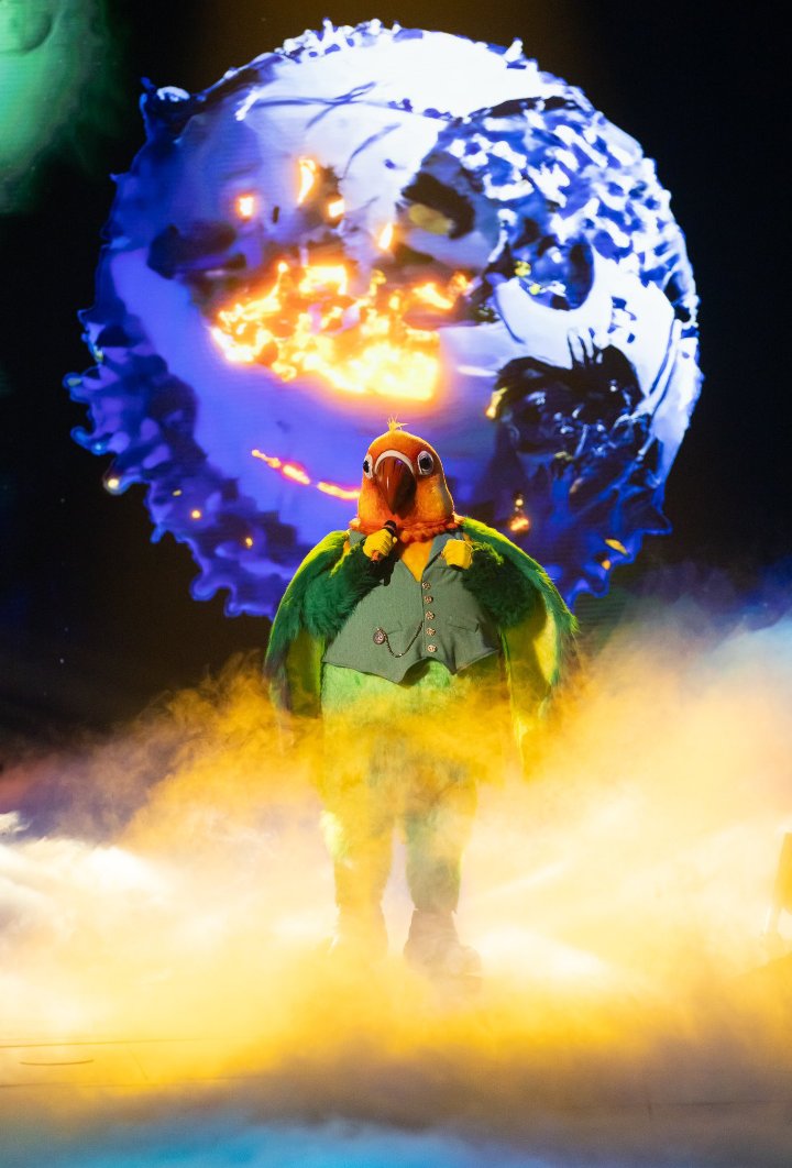 LOVEBIRD: green with a red or black face, noted for the affectionate behavior of mates birds. Aka me on
#TheMaskedSinger 🦜🫶🏽
