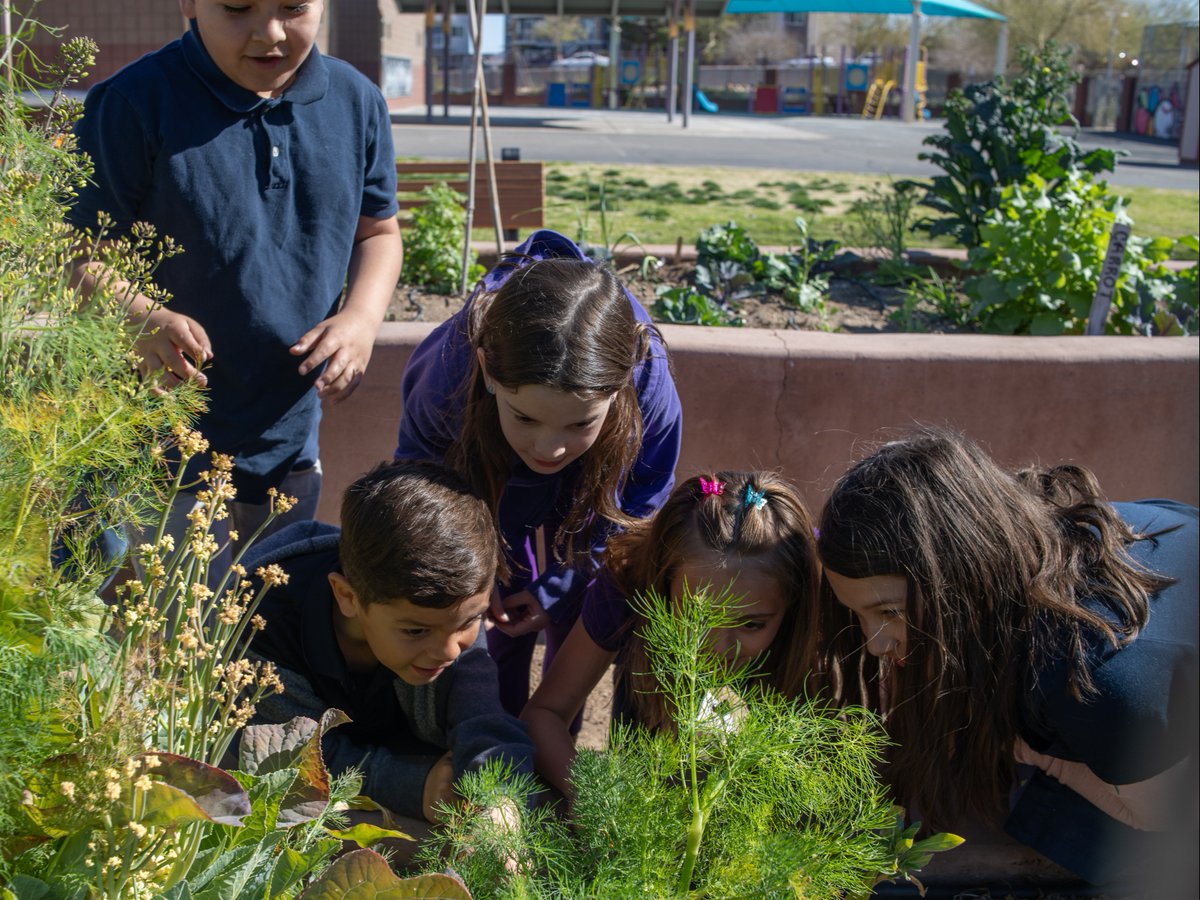 Happy Earth Day! 🌎 💚 We join our community in celebrating the importance of protecting the earth’s natural resources for future generations. Here are a few ways we are creating healthier learning spaces: 🪴 School-run gardens & hydroponics programs.