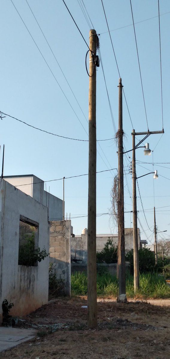 CresGuerr's tweet photo. @TELMEXSoluciona @Telmex
@fundaciontelmex no han llegado por favor atiendan solo proporciono los reportes 16586614 y 57118080 que no han venido a reparar por cambio de un poste 96 hrs sistema que pasa pq quitan el poste y me desconectan su subcobtratista y allí dejan el cable. https://t.co/yDVxsTUjk2