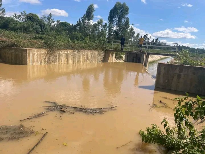 The canalization and rerouting of excess Nzoia River waters to flood plains such as Bunyala and other irrigation schemes was noble. Flooding in Budalangi is now almost forgotten. When GOK acts, such are the results.