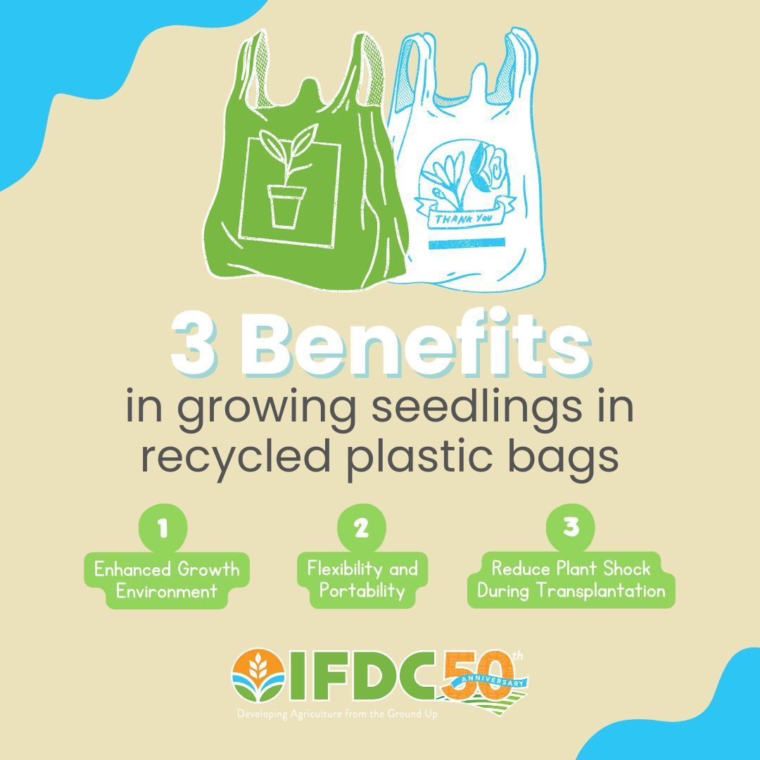 On #EarthDay, we want to highlight the @HortiNigeria program utilizing #Recycled plastic bags to combat plastic #Pollution and offer a more #Affordable approach to growing seedlings for #SmalholderFarmers in #Nigeria. Learn more: ifdc.org/2024/04/18/com… @NLinNigeria @EarthDay