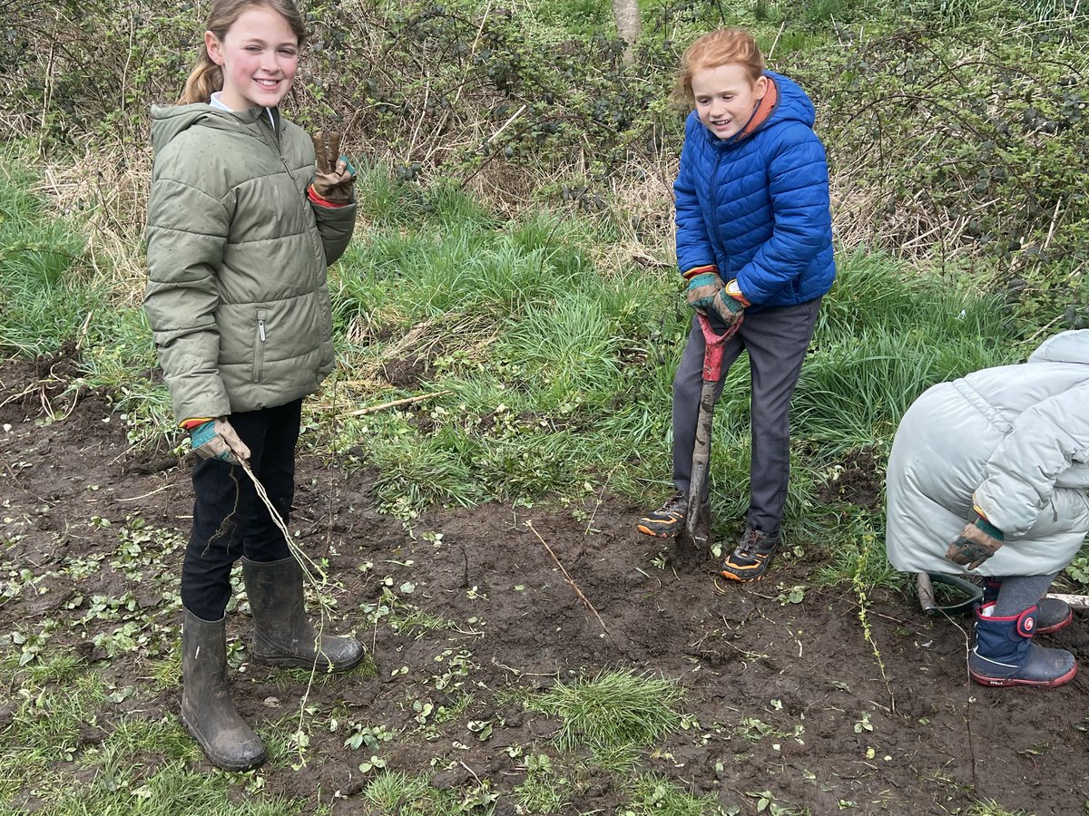 Fantastic day planting trees and hedgerows around the football field at @BurnleyRoad in Mytholmroyd. Every class in the school took part with tremendous enthusiasm planting trees and shrubs which we donated to the school. Read the write-up in @HXCourier halifaxcourier.co.uk/education/burn…