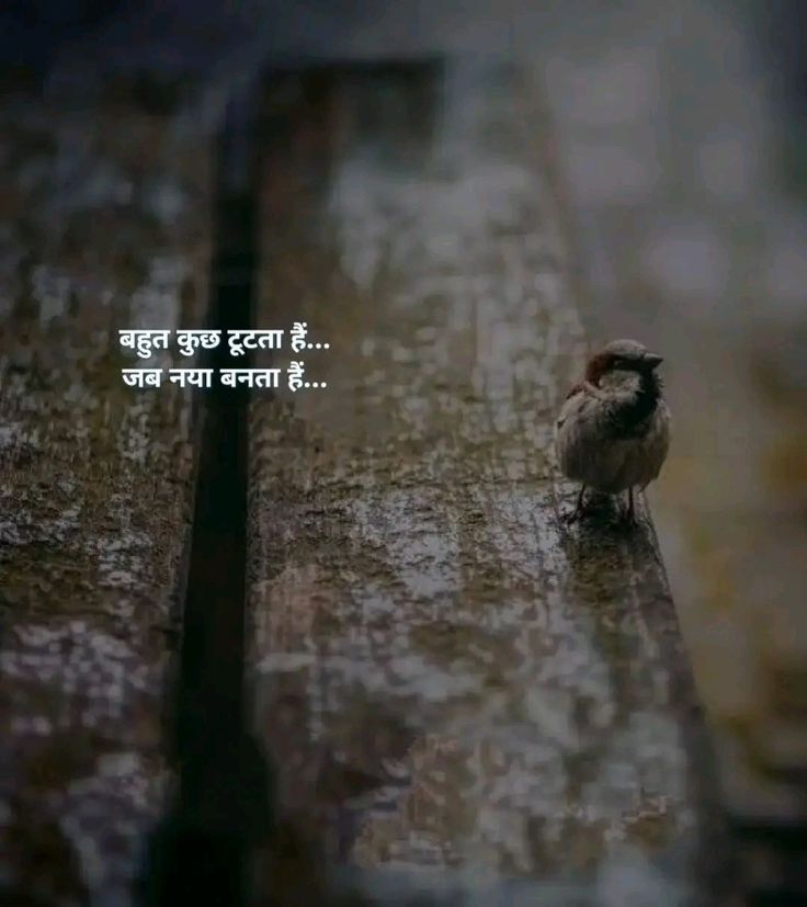 बहुत कुछ टूटता है…
जब नया बनता है…