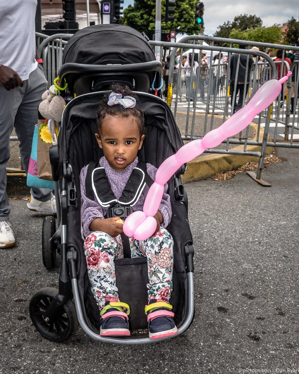 Bidding you good day with the awkwardness of childhood at #hanami in #SanFrancisco...
#Japantown #JapantownSF #CherryBlossomFestival #CherryBlossomFestival2024