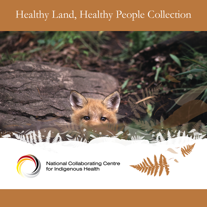 Sharing NCCIH's “Healthy Land, Healthy People” resources for International Mother Earth Day - nccih.ca/1673/Healthy_L…

See also: nccih.ca/34/Publication…, earthday.org/earth-day-2024/ and un.org/en/observances…

#TheNCCIH #IndigenousHealth #EarthDay2024