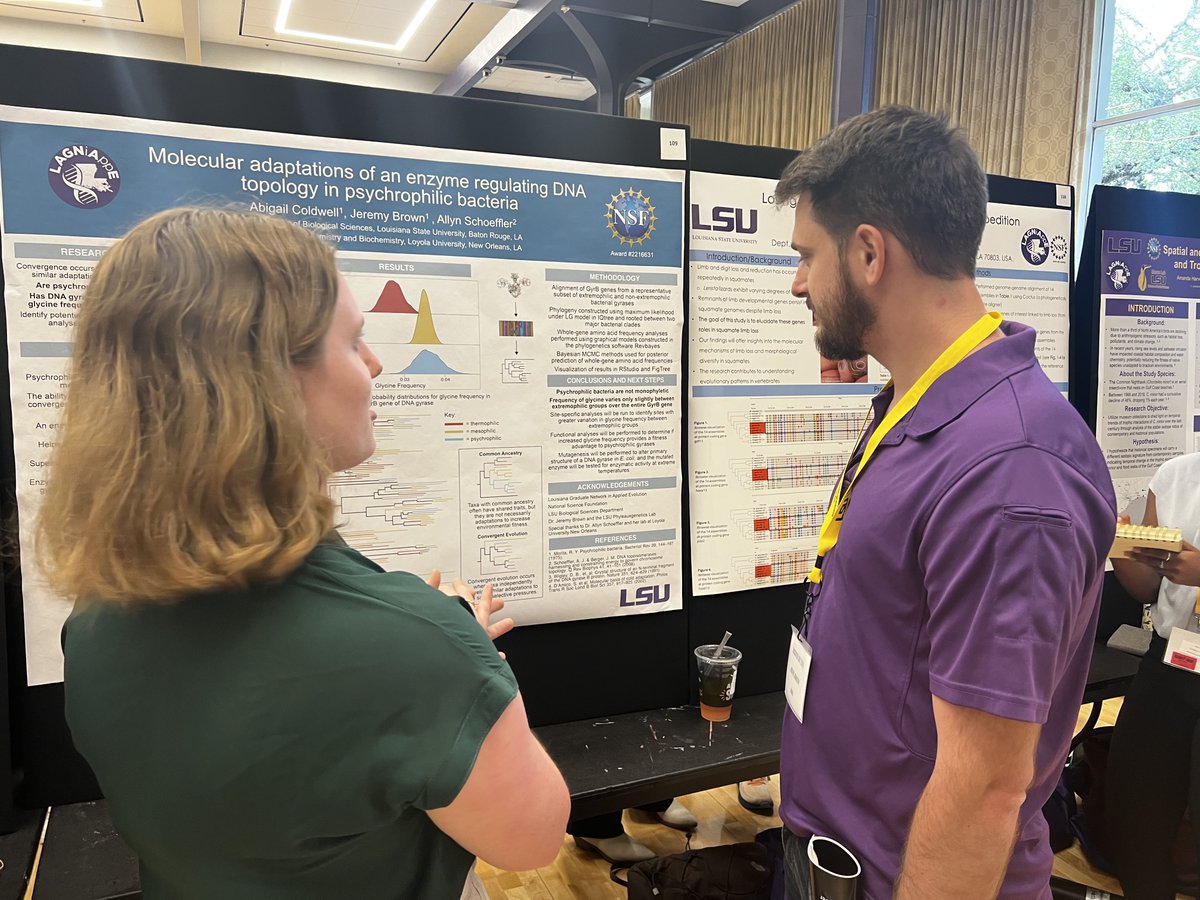 A round of applause for students who filled the Student Union to share their research at #LSUDiscoverDay2024. Great work by our @LSU_BioSci majors, students, @evo_lagniappe scholars, mentors, and others who were there to support!