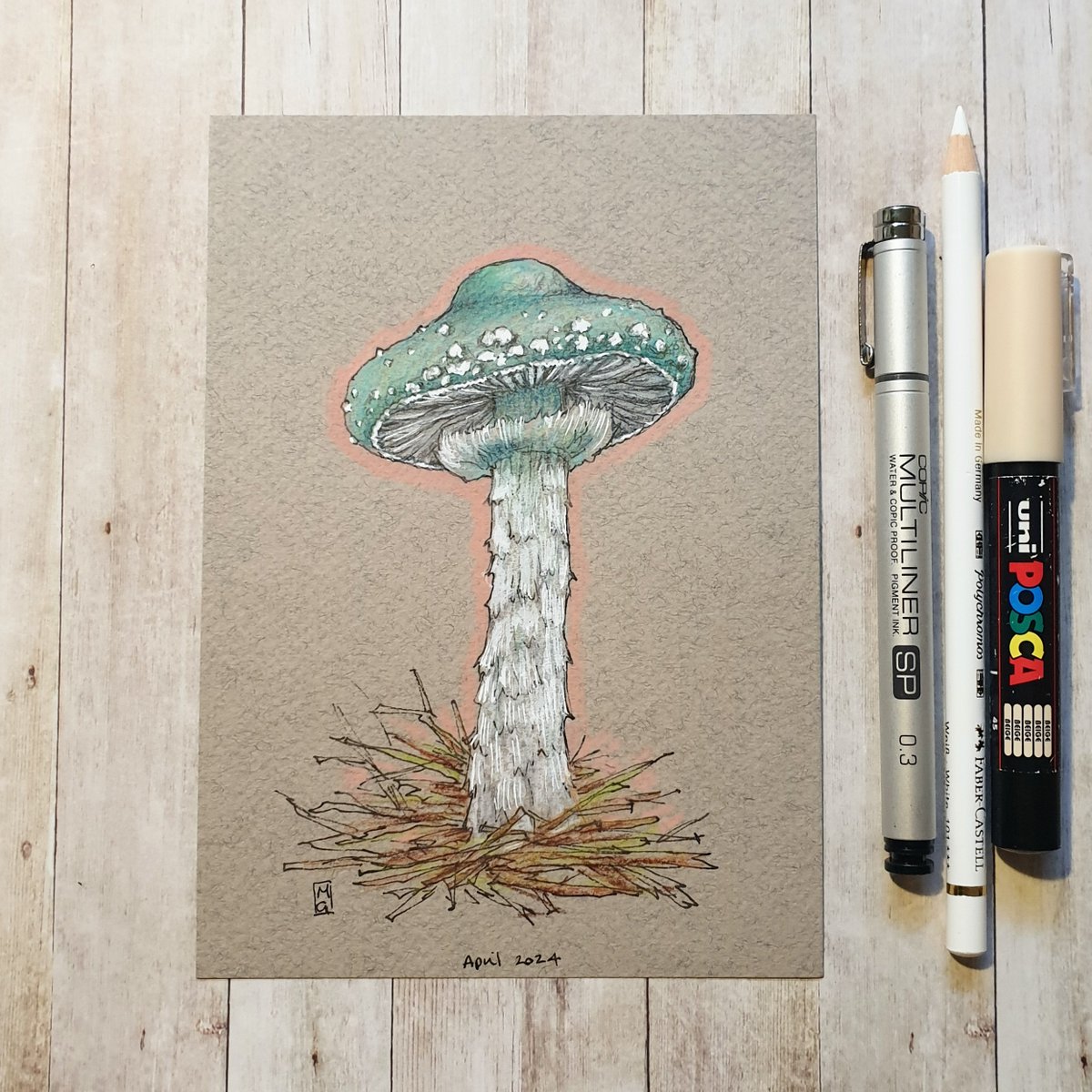 Verdigris Agaric Mushrooms can be found on lawns and in woodland areas, but particularly favours wood-chip mulches in gardens, and parks.  It is widespread but not particularly common in Britain.
theweeowlart.etsy.com/listing/170724…
#Mushrooms #OriginalArt #drawing #PenAndInk #ColourPencil