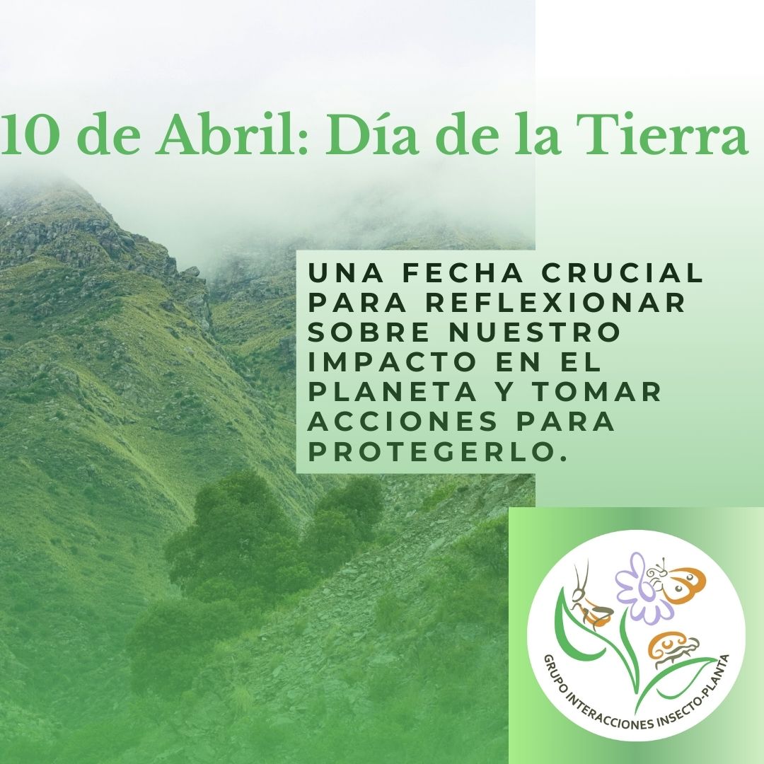 insecto_planta's tweet photo. #DiadeLaTierra 🌸🐝☘️ https://t.co/FS8ZKYoxHf
