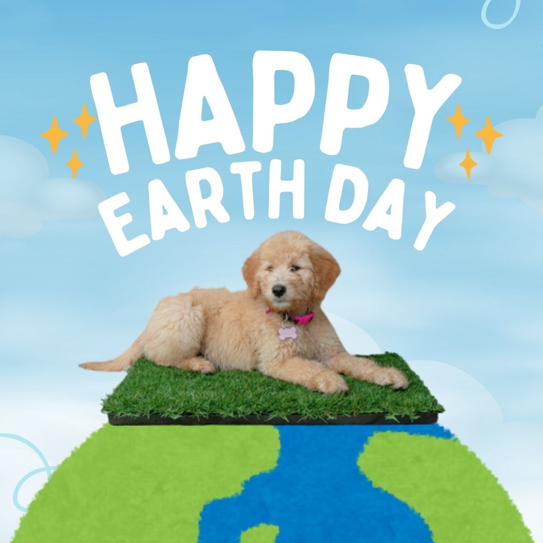 Happy Earth Day! 🌿 With Gotta Go Grass, caring for your pet & the planet is easy.

Our natural grass pads & biodegradable dog waste bags mean less landfill, & more love for Earth!

Cheers to pet relief that's eco-friendly! 🌎

#gottagograss #petproducts #earthday #ecofriendly