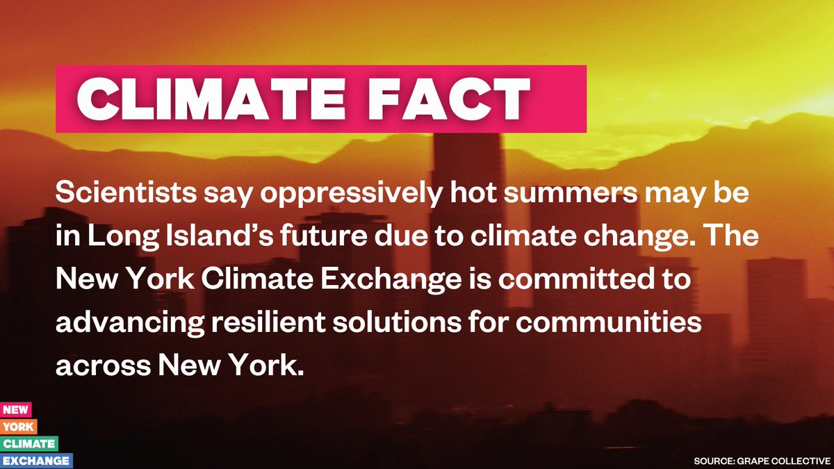 🌍 #ClimateFact: Scientists say oppressively hot summers may be in Long Island’s future due to climate change. The #NYClimateExchange is committed to advancing resilient solutions for communities across New York. grapecollective.com/articles/clima…
