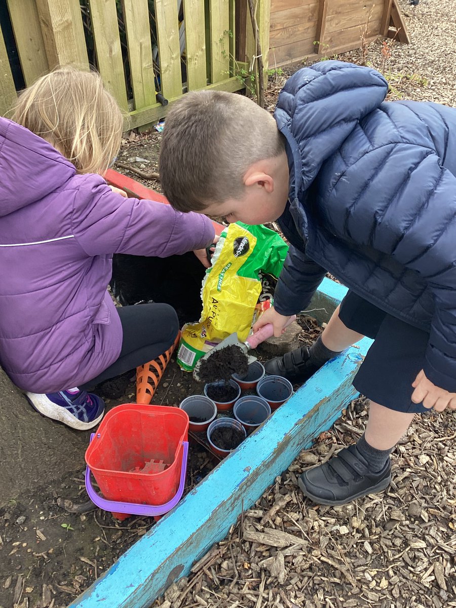 ArchibaldFirst's tweet photo. Year 2 have made some fantastic posters about protecting our planet! We even planted some strawberry and sunflower seeds🍓🌻🌍#EarthDay #planetprotectors https://t.co/bBRuQDAJun