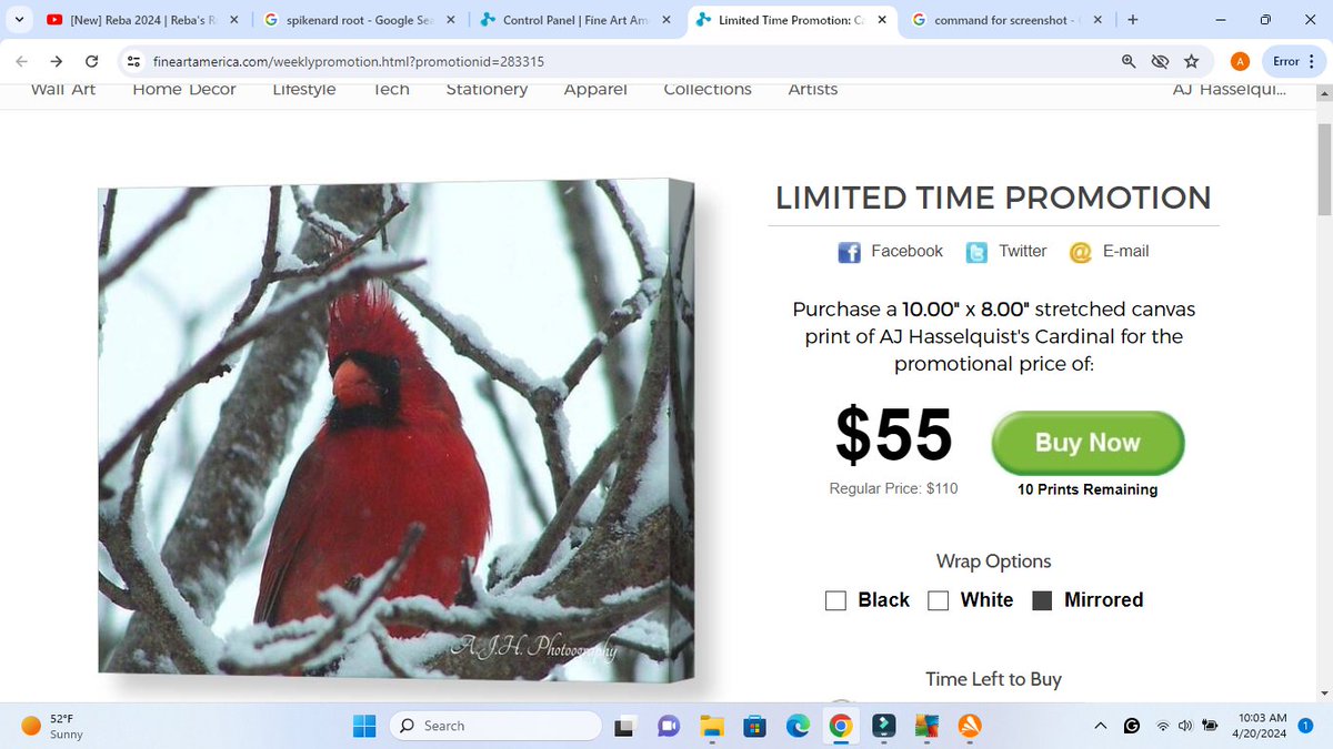 #limitedtimepromotion #wintersale #WinterCardinalSeries.  Link in #commentsection