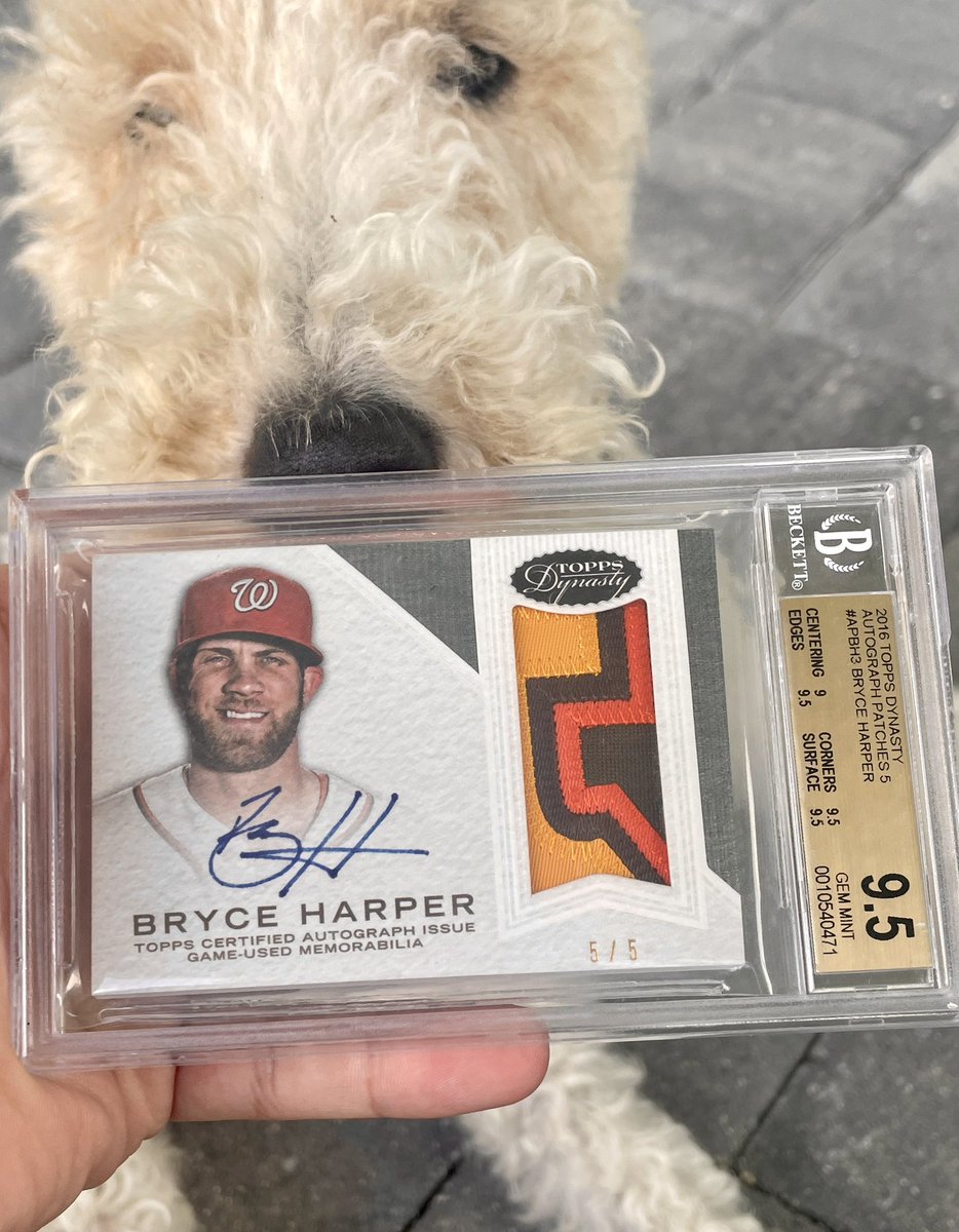 BGS 9.5 2016 Topps Dynasty Bryce Harper /5 $1000