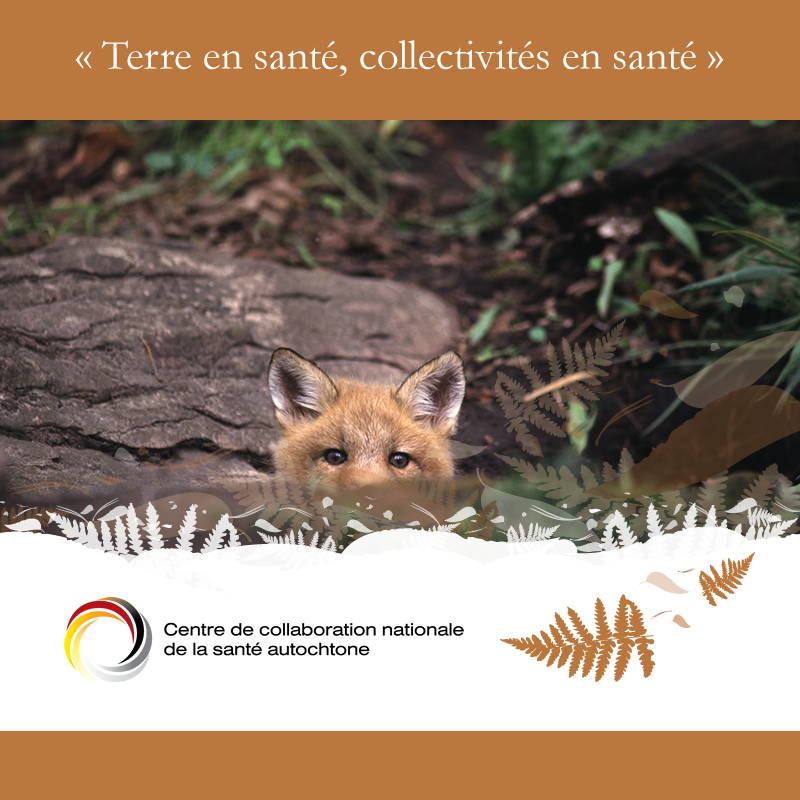 Partage des ressources du CCNSA « Terre en santé, collectivités en santé » pour la Journée internationale de la Terre nourricière 2024 - ccnsa.ca/fr/publication…

Voir aussi : ccnsa.ca/524/Publicatio… et un.org/fr/observances…

#LeCCNSA #SantéAutochtones